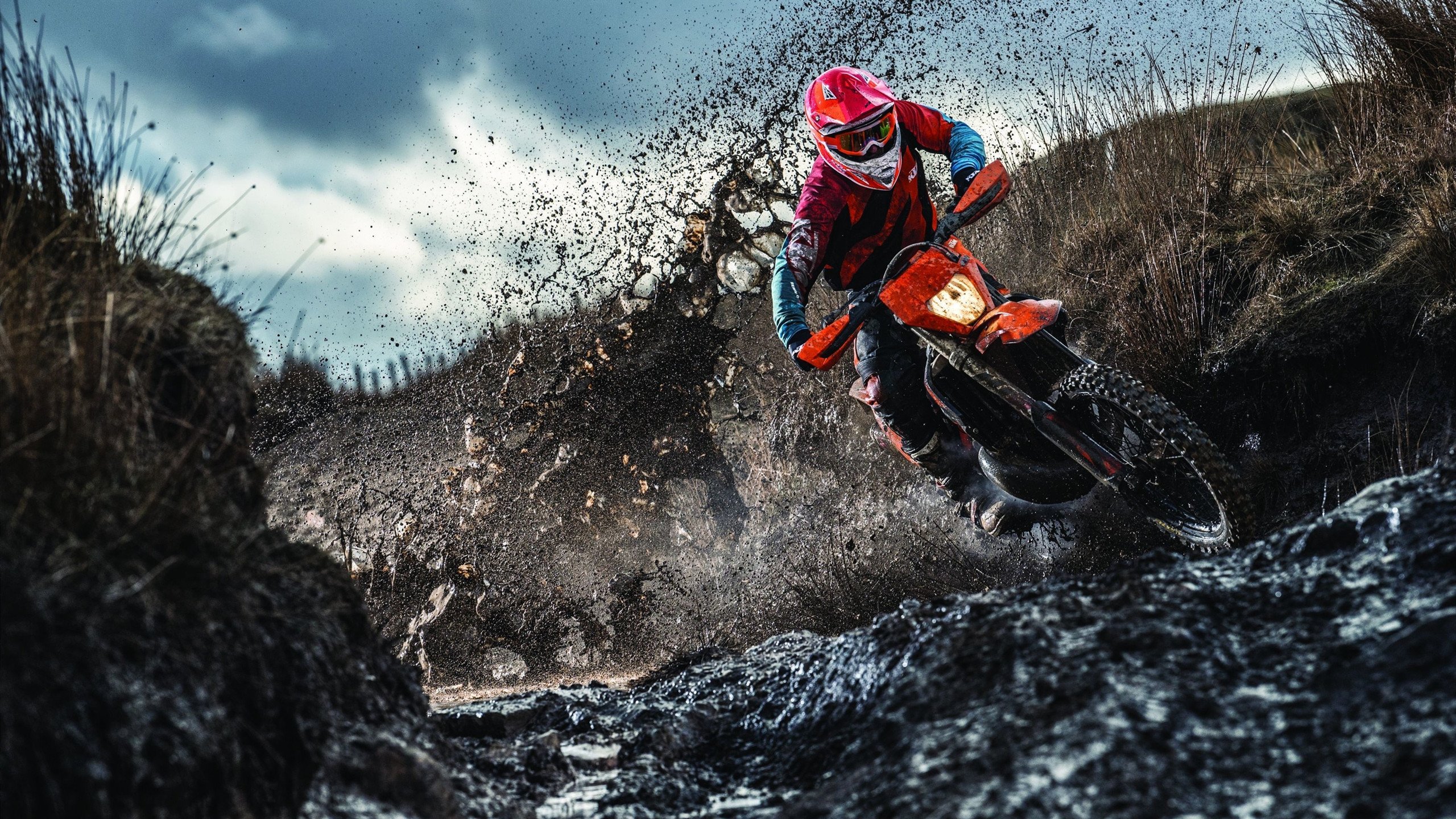 开云下载-锡安末节封神！开拓者绝境逆转老鹰，新王当立